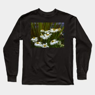 Daisies in The Garden Long Sleeve T-Shirt